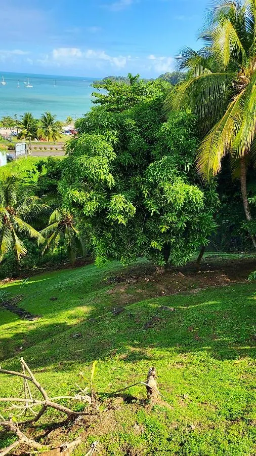 Appartement Vue Mer Avec Piscine Privee A La Trinite 98M² Martinique