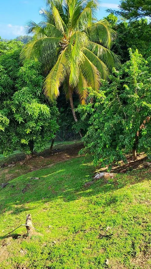 Appartement Vue Mer Avec Piscine Privee A La Trinite 98M² 0*,  Martinique