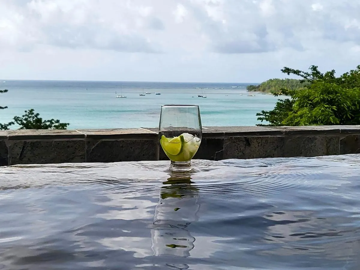 Appartement Vue Mer Avec Piscine Privee A La Trinite 98M² Apartment